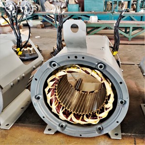 YTW ST/STC Brush Generator Copper Wire <strong>dynamo</strong> Factory Delivery - Product Image 2