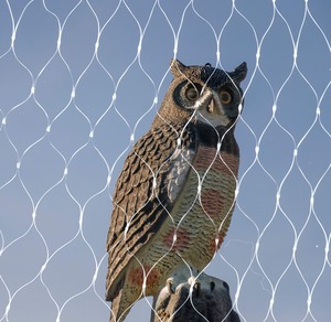 Nông nghiệp chim bằng chứng HDPE <span class=keywords><strong>Net</strong></span> cho vườn cây ăn trái và vườn nho chống lão hóa <span class=keywords><strong>Net</strong></span> - Product Image 1