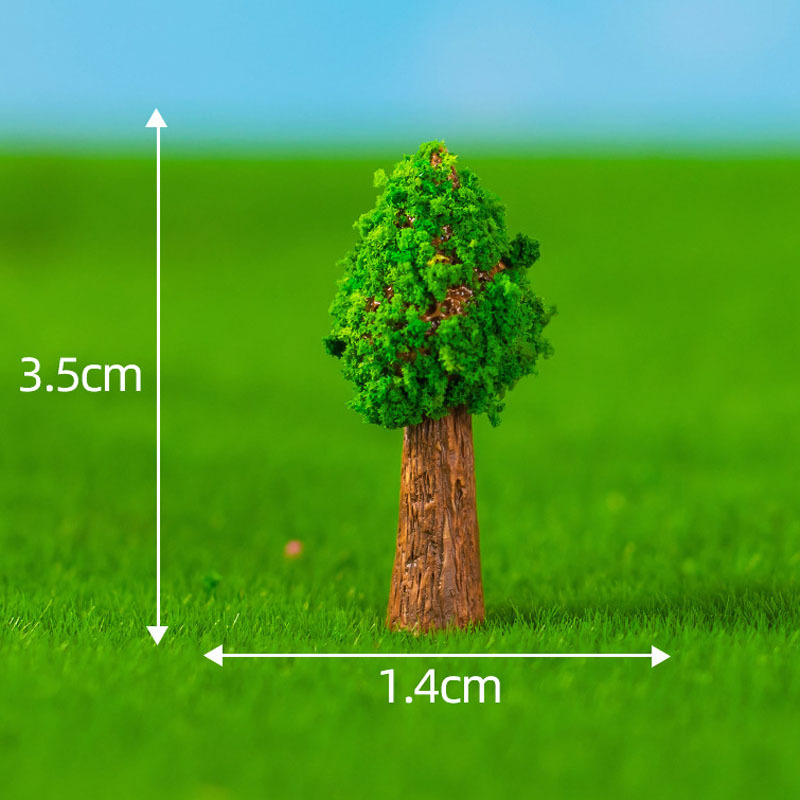 N.12 Alberi a Testa Piccola