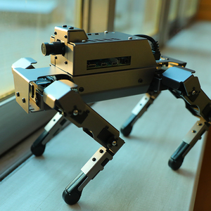 12DOF masaüstü Metal Robot köpek biyonik DOGZILLA S1 AI görüş kamera ahududu Pi için 4B desteği Python programlama