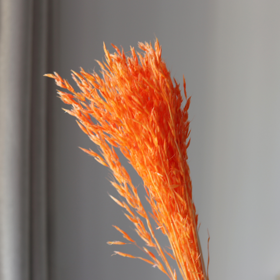 สีแดงส้ม