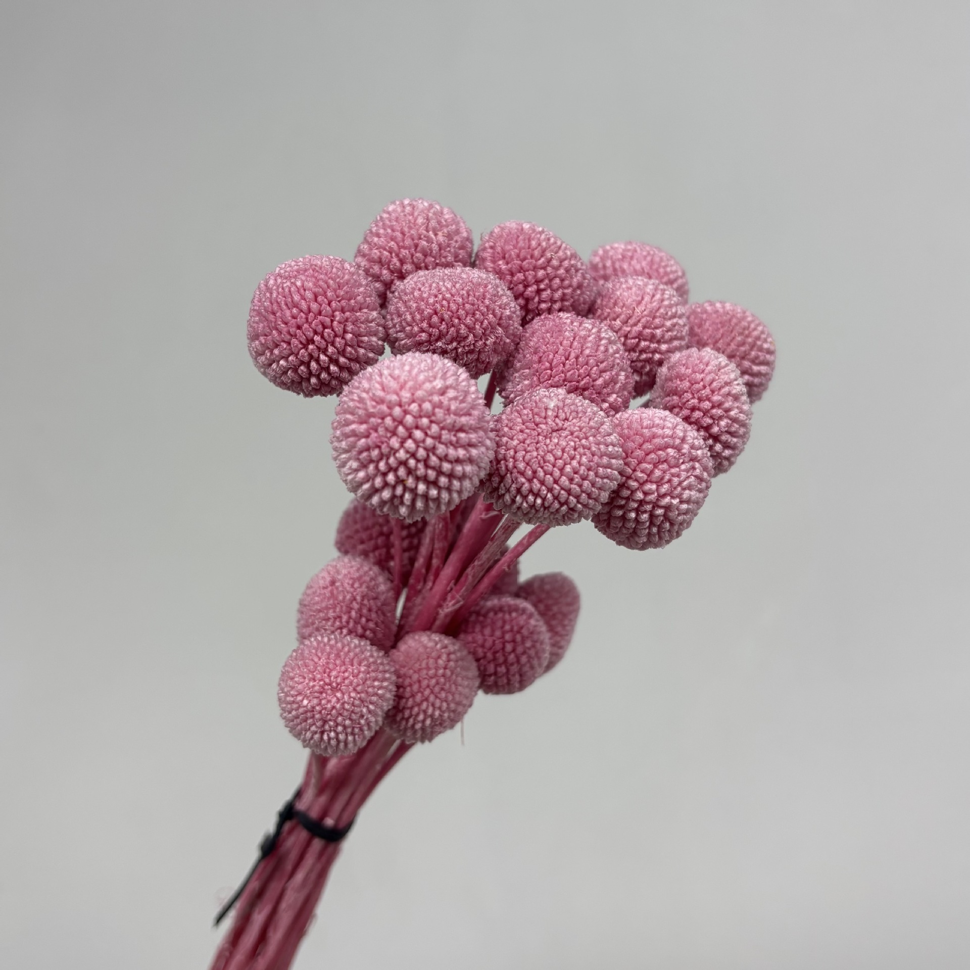 Deep pink