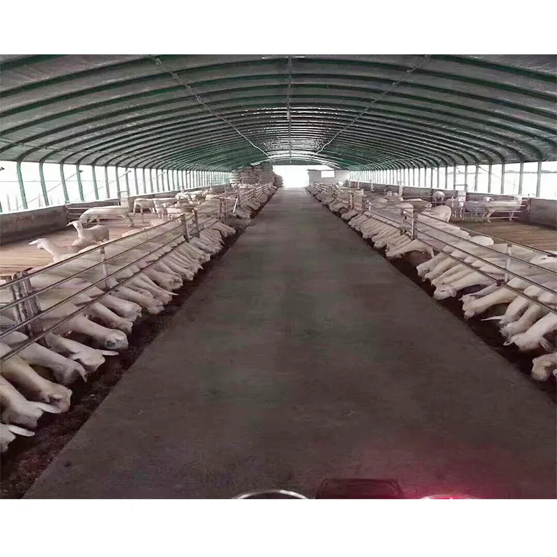 Personalizzazione di alta qualità del bestiame ovino tenda tenda tenda PVC allevamento di capre getta bestiame animale