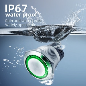 BENLEE IP67 25mm Wholesale Custom <strong>20</strong> <strong>Amp</strong> Illuminated Momentary Metal Push Button <strong>Switch</strong> With Led - Product Image 2