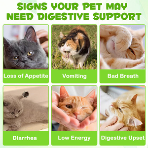Probiotische flüssige Ergänzung der Katze mit Speck geschmack Verdauungs enzyme Präbiotika Tropfen für Verstopfung Gesundheits wesen - Product Image 2