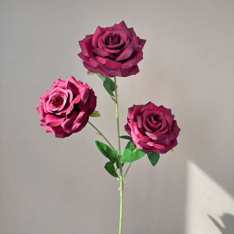 vino rosso