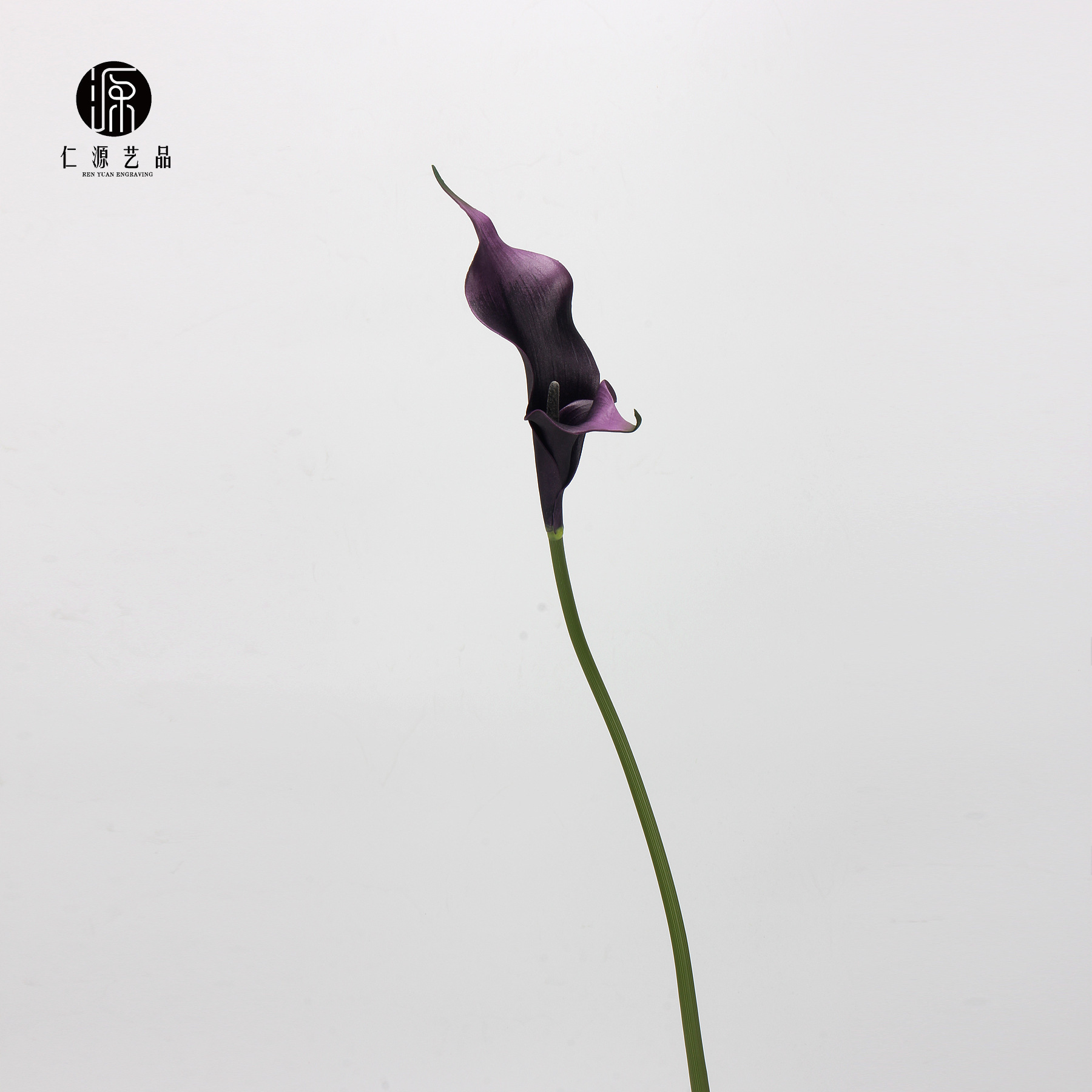Double-headed black and purple