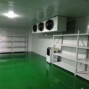 20ft 40ft konteyner soğutma 50 ton 100 ton <span class=keywords><strong>blast</strong></span> dondurucu et balık tavuk için soğuk oda depolama