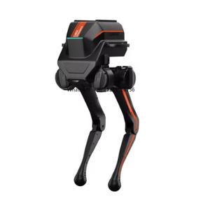 2025 Chinesische intelligente künstliche Intelligenz Fox tech robot Walking SDK RC Programmierung Biped Humanoid Robot