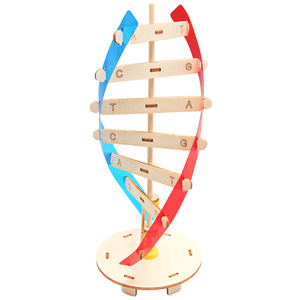 Küçük DIY İnsan gen DNA çift sarmal modeli için biyolojik bilim deneyleri ahşap teknoloji bilim öğretim yardımcıları için - Product Image 1
