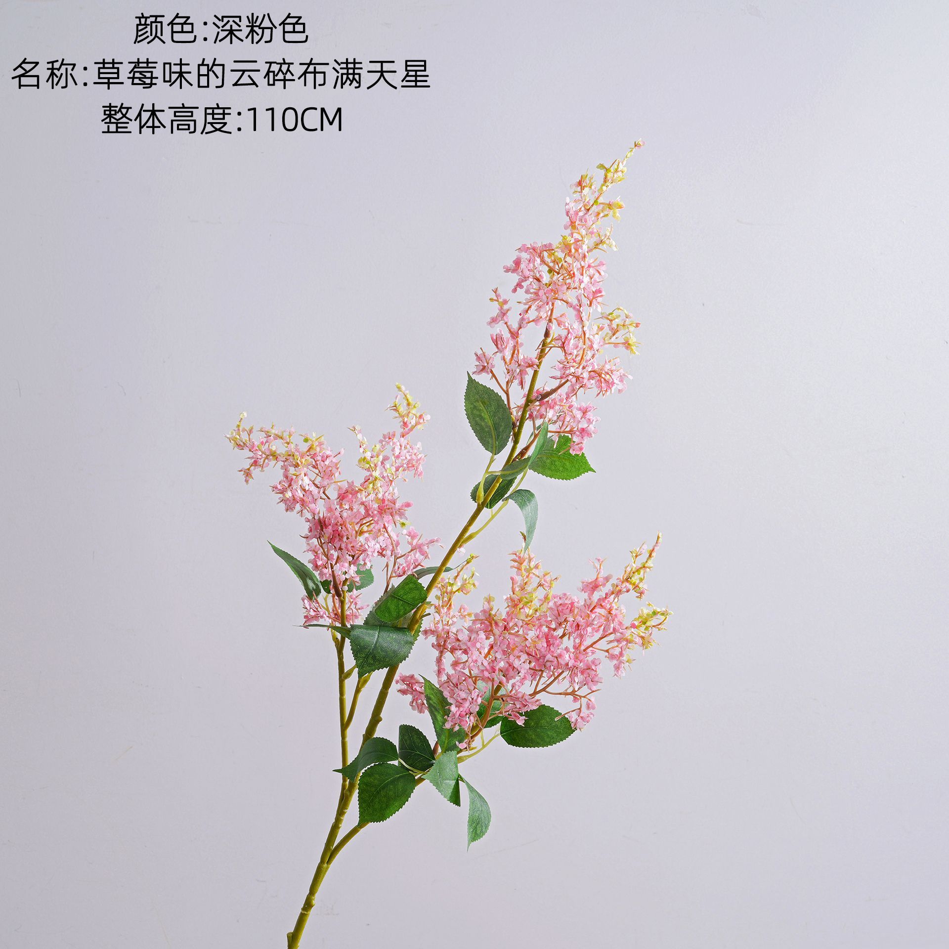 สีชมพูเข้ม