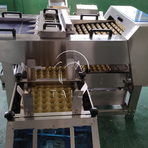 Egg Tray Loading <strong>Machine</strong> <strong>Automated</strong> Chicken Egg Pack <strong>Machine</strong> Egg <strong>Sorting</strong> and Pack <strong>Machine</strong> - Product Image 6