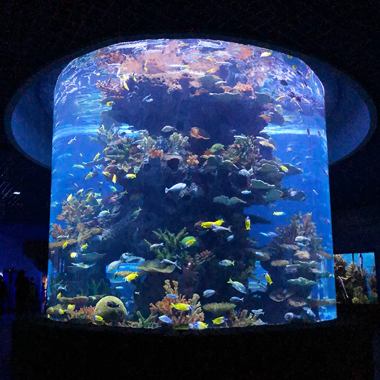 Aquarium arc-en-ciel, meuble de Base écologique, pour poissons
