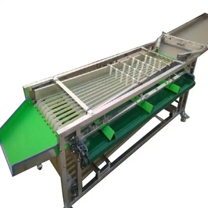 Macchina di classificazione delle dimensioni della data della prugna di alta qualità facile da usare Arabia saudita data Palm mirtillo frutta selezionatrice automatica - Product Image 5