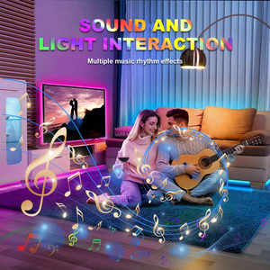 แถบไฟนีออน rgbic LED กลางแจ้งกันน้ำ USB APP BT ควบคุมระยะไกลมีความยืดหยุ่นพีวีซีนุ่มยืดหยุ่น RGB + IC นีออนนำแสงเทป1M 3M - Product Image 6