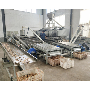 Fully Automatic Steaming Peeling Grading <strong>Sorting</strong> Cooking Crusher Cashew Nut <strong>Shelling</strong> Processing <strong>Machine</strong> Production Line - Product Image 5