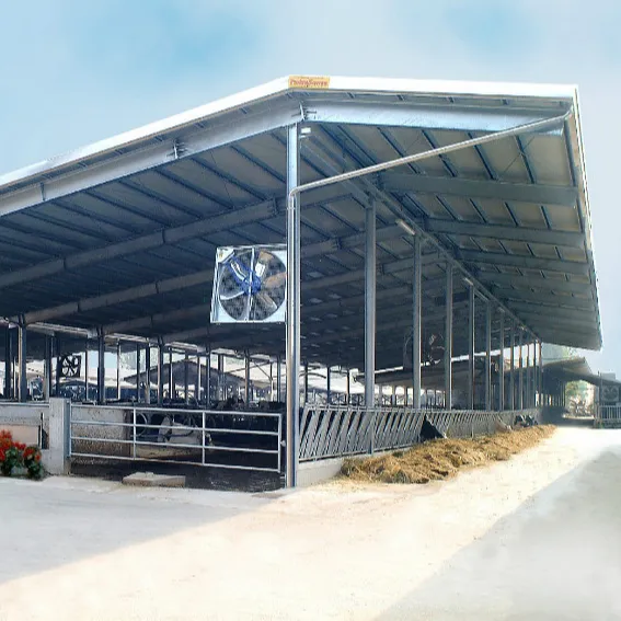 Casa della tettoia dell'azienda agricola della mucca da latte