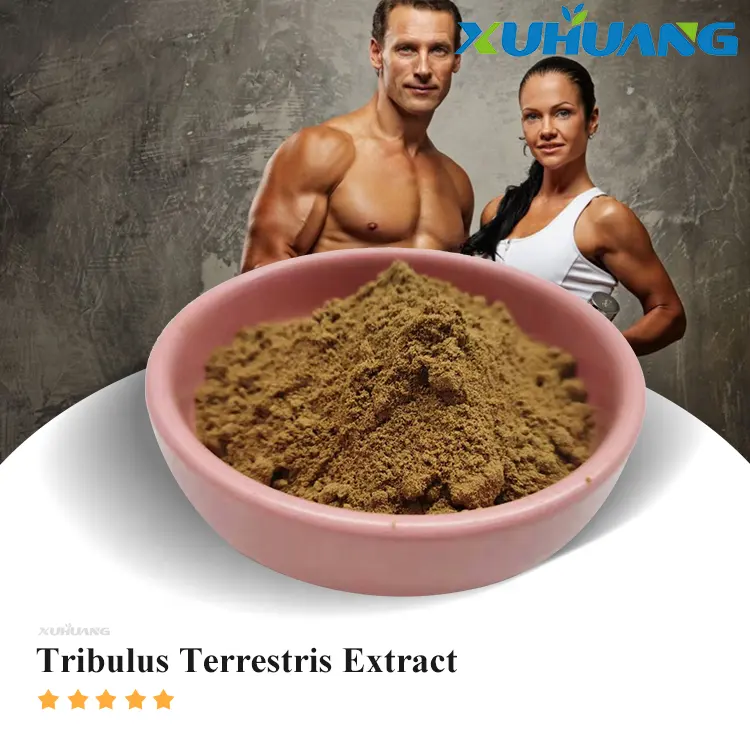 Xuhuang थोक आपूर्ति tribulus terrestris निकालने पाउडर