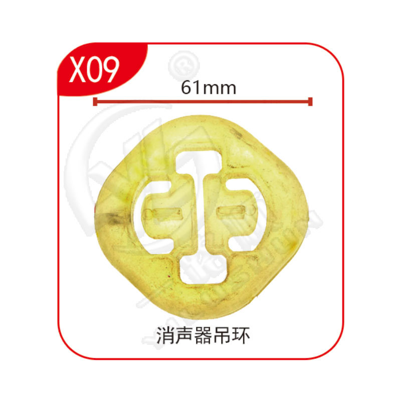X09