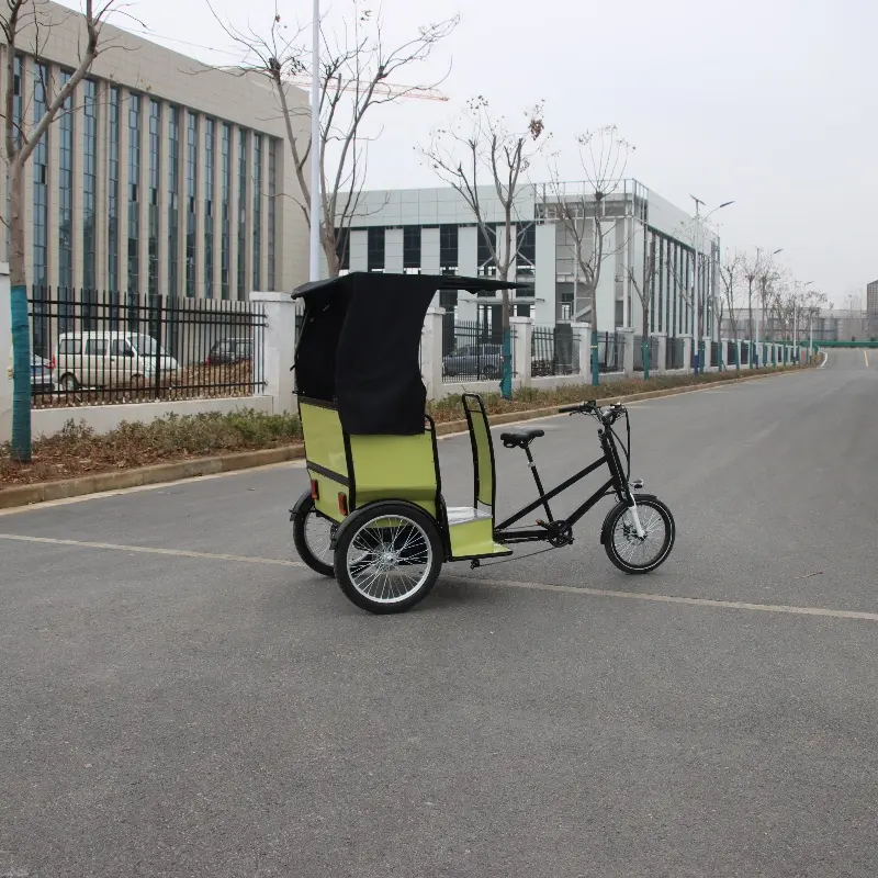 Electric Passenger Tricycle bike Three Wheel Scooter for sale best price