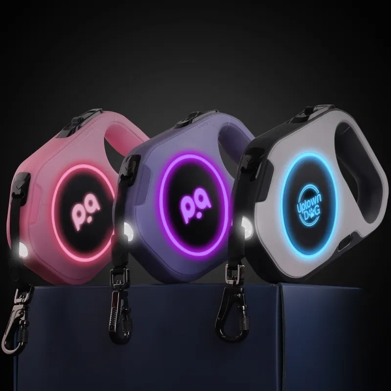 Top người bán biểu tượng tùy chỉnh led Light Up Pet Dog Leash bán buôn nylon dây tự động có thể thu vào Dây Xích Chó với LED ánh sáng