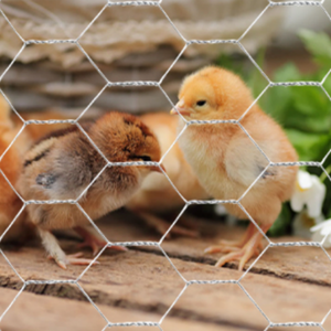 Máquina de tejer de malla hexagonal completamente automática para hacer malla de pollo de alta calidad, fábrica de China, gran oferta - Product Image 5