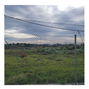 PVC/Galvanized Metal <strong>Mesh</strong> Wire <strong>Net</strong> Chain Link <strong>Fence</strong> for Enclosure Farm - Product Image 1