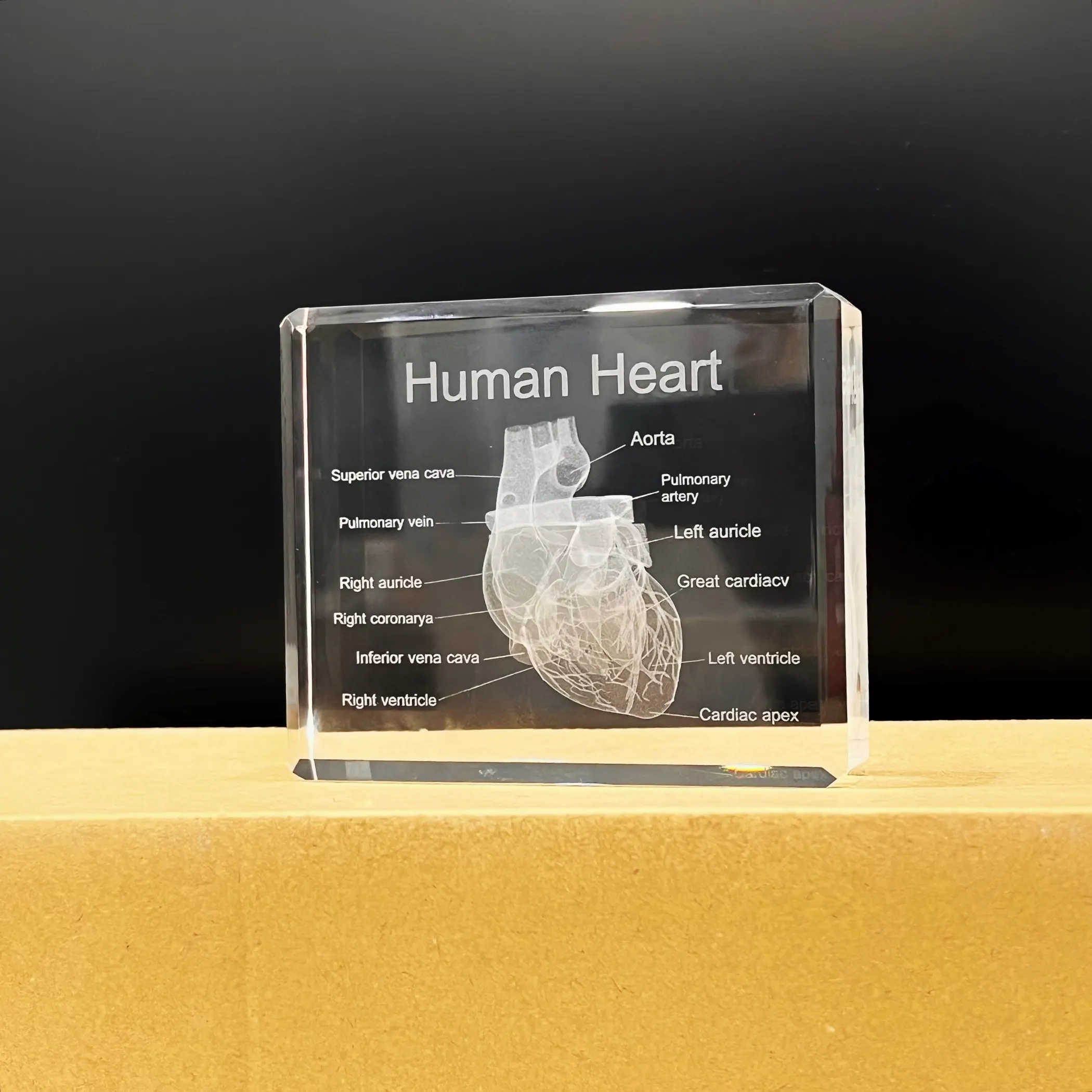 Modelo de cristal 3D de coração humano K9, modelo anatômico gravado a laser para decoração de casa e escritório, presentes de cardiologia