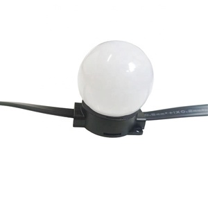 <strong>Addressable</strong> <strong>RGB</strong> RGBW <strong>LED</strong> <strong>Pixel</strong> Bulb 50mm <strong>LED</strong> <strong>Pixel</strong> Light SPI/DMX512 Waterproof DC12V DC24V IP68 <strong>Led</strong> Point - Product Image 2