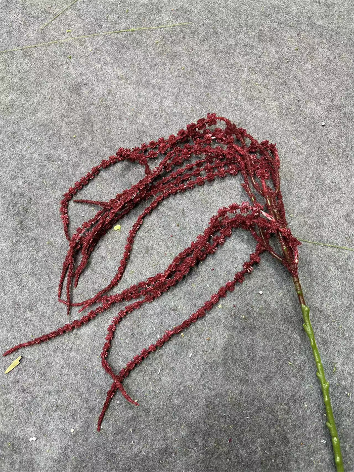 Amarante de Bourgogne