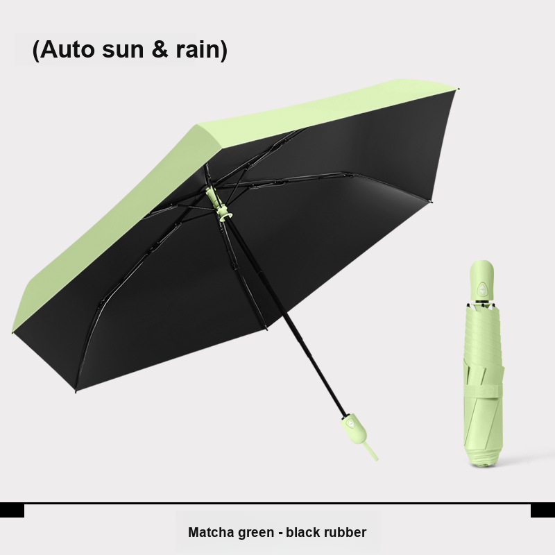 Vert Matcha Régulier