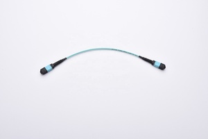 MTP MPO 8/12/24-Core Data Center Cable de conexión óptica OM3 OM4 Cable de fibra óptica para redes Qsfp 4G/5G FTTH Equipo óptico - Product Image 5