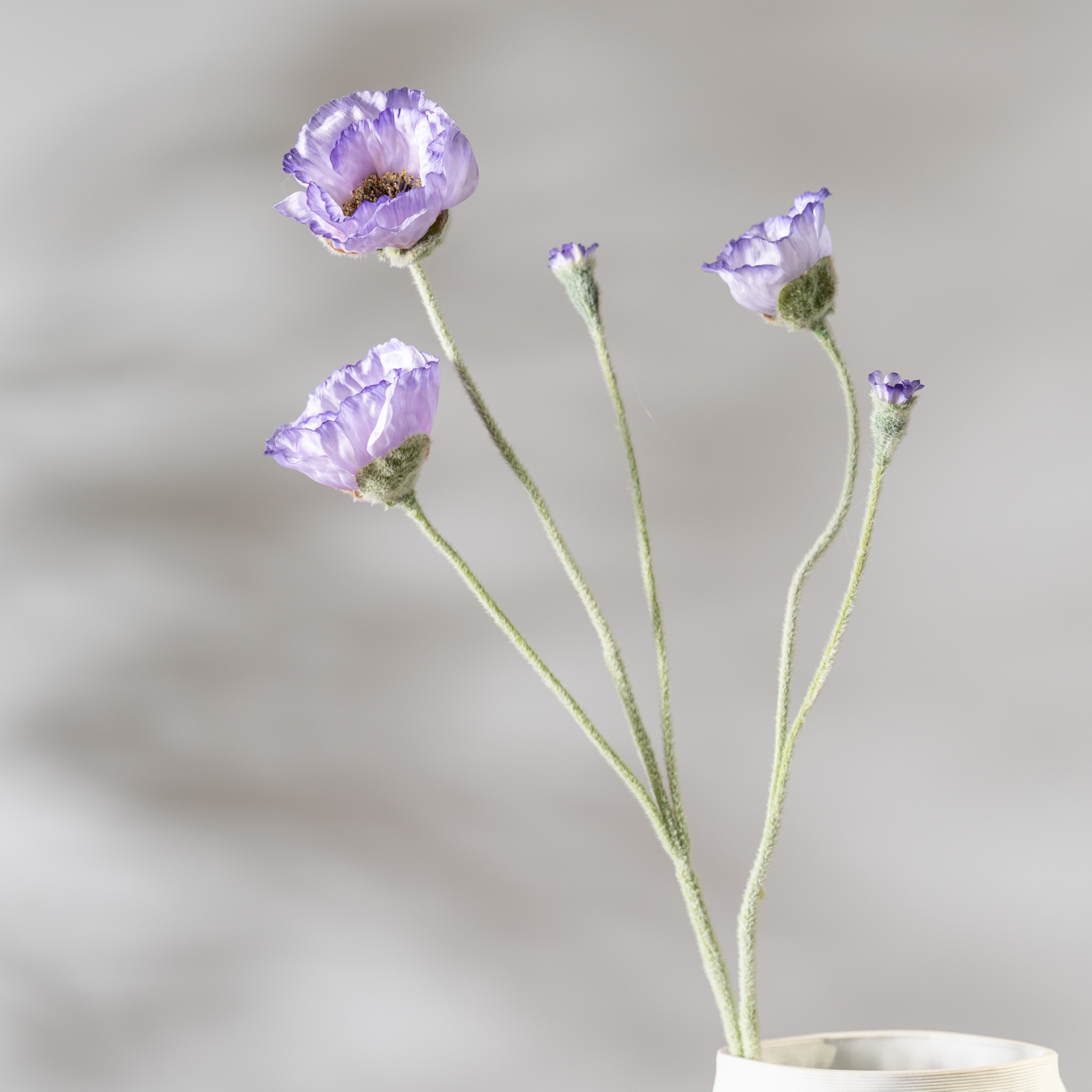 Dégradé violet