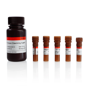 Güvenilir hücre aktivite ölçümleri için yenilikçi MTT kiti | MTT hücre proliferasyonu ve sitotoksisite testi kiti - Product Image 3