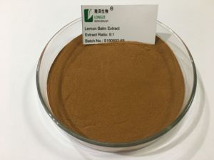 เลมอนบาล์มสารสกัดจากผงมะนาวบาล์มสารสกัดจากเมลิสสา Officinalis L. - Product Image 3