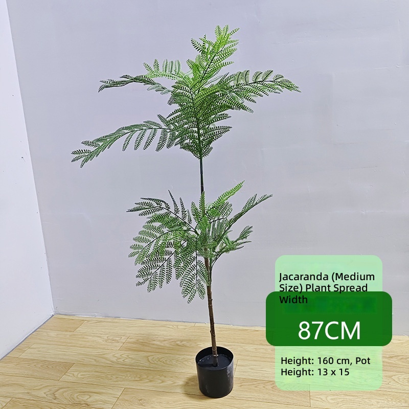 Jacaranda de luxe léger 160CM