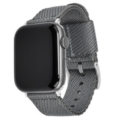Gray + silver buckle