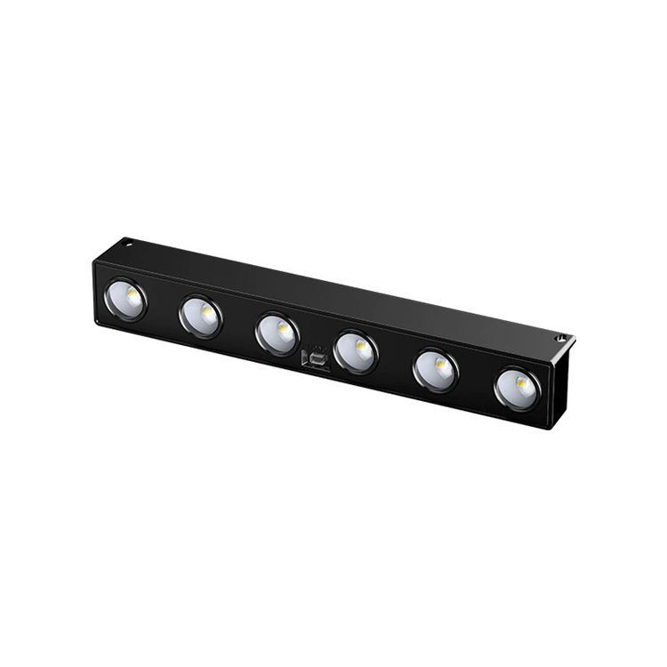 Cold White (6 lights)