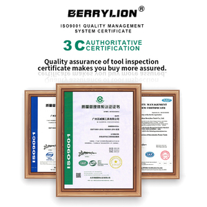 Berrylion G30/G100专业割炬多用火焰枪气体火焰喷射器气枪加热焊枪 - Product Image 3