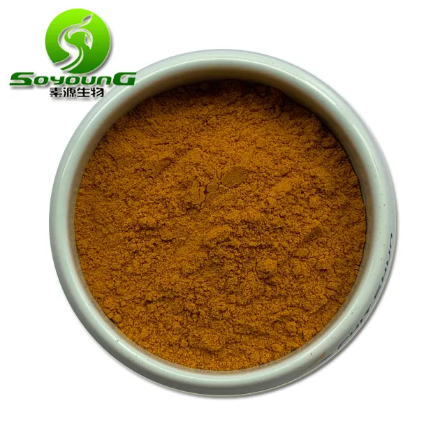 Food Grade Geelbruine Uv Polysacchariden 10% 50% Triterpeen 1% 20% Natuurlijke Organische Lingzhi Ganoderma Lucidum Extract