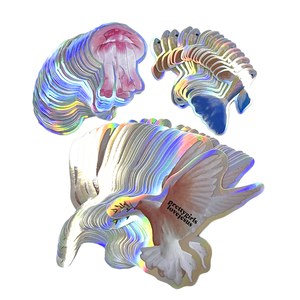 High Quality <strong>Custom</strong> Eggshell Vinyl 3D Holographic Logo Sticker UV Printing Water Heat-Sensitive for Grocery <strong>Computer</strong> Use 500 Pcs - Product Image 1