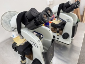 奥林巴斯CX23三目双目生物显微镜与LED光源 - Product Image 4