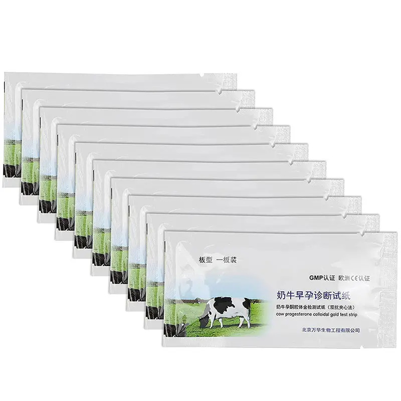 Test de grossesse des vaches Bétail Vache positive une étape bandelette de test de grossesse hcg