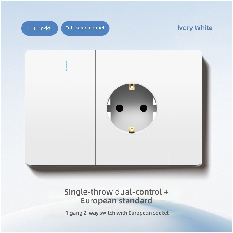 1 gang 2 way switch with 2P socket