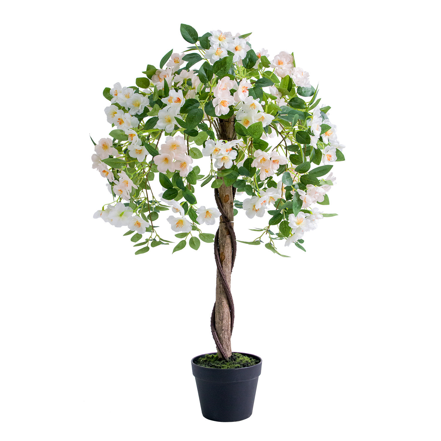 gelsomino bianco