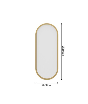 Miroir 30*100cm