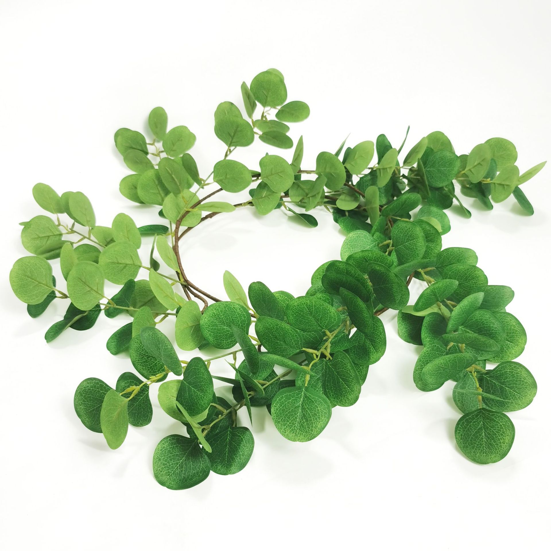 Hand roll eucalyptus spring green