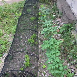 3m成長トンネルメッシュネットクローシュ昆虫鳥植物保護庭の割り当て作物カバー迅速で簡単な組み立て