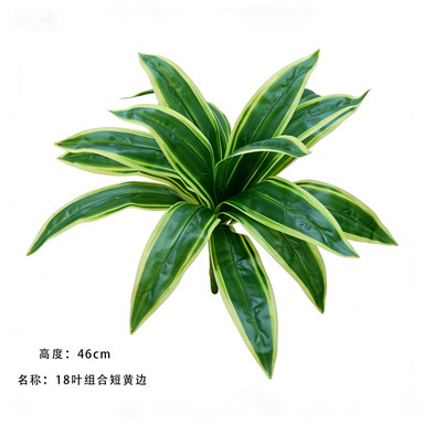 18-leaf combination with a short yellow-edged branch