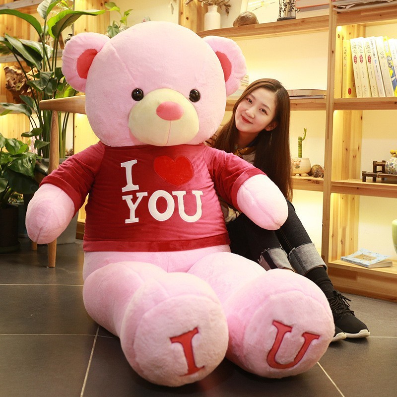 Sweatshirt-Pink
